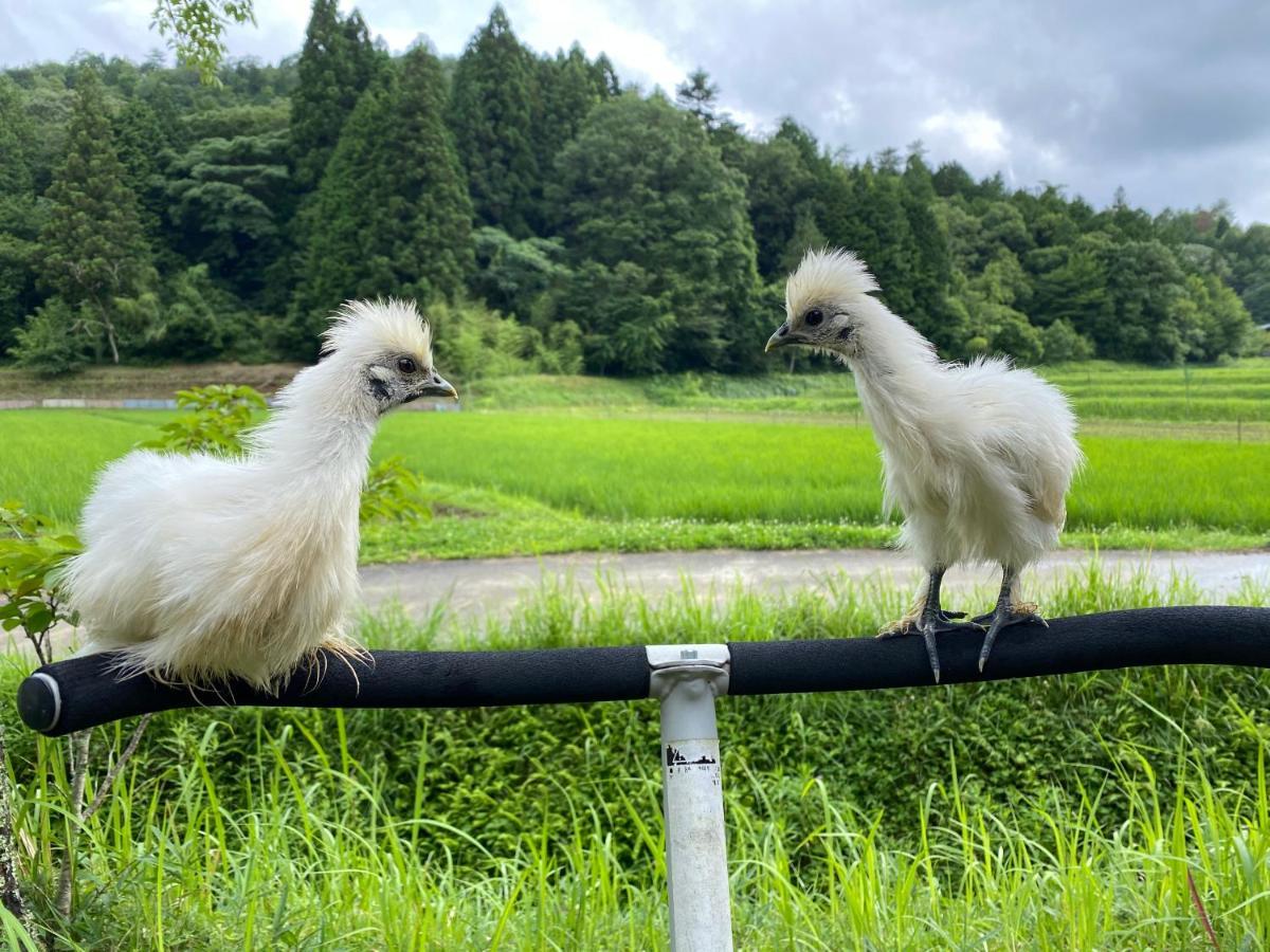 Music Forest Villa&Camp Tamba-Sasayama Экстерьер фото